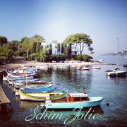 FRANK SINATRA - SchimJolie