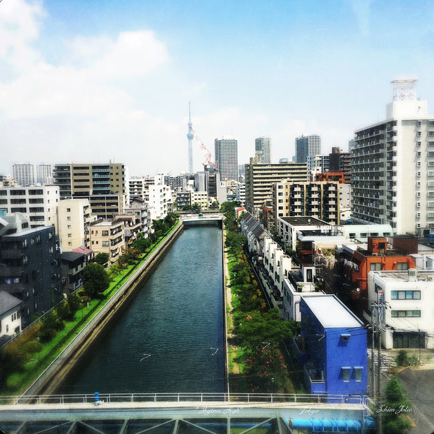 SKYTREE HIGH Ltd SchimJolie Silk Square